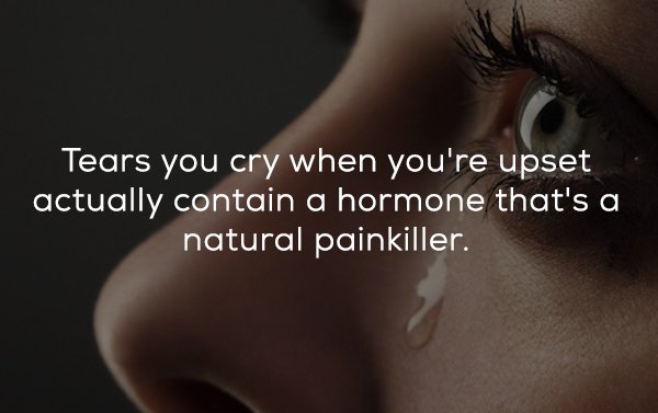 eyelash - Tears you cry when you're upset actually contain a hormone that's a natural painkiller.