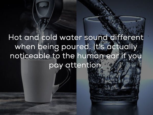 hot water cold water - Hot and cold water sound different when being poured. It's actually noticeable to the human ear if you pay attention 22