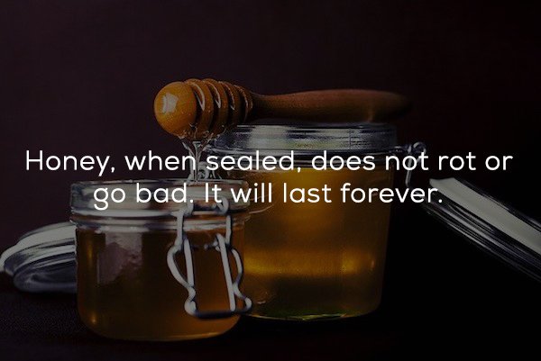 Honey - Honey, when sealed, does not rot or go bad. It will last forever.