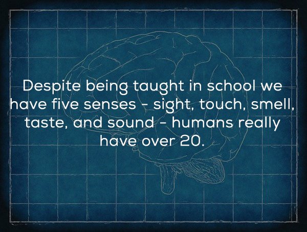 pattern - Despite being taught in school we have five senses sight, touch, smell, taste, and sound humans really have over 20.