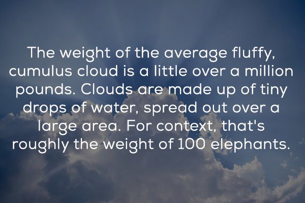 sky - The weight of the average fluffy, cumulus cloud is a little over a million pounds. Clouds are made up of tiny drops of water, spread out over a large area. For context, that's roughly the weight of 100 elephants.