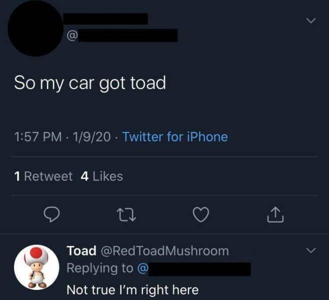 screenshot - So my car got toad 1920 Twitter for iPhone 1 Retweet 4 o za o O Toad Toad Mushroom @ Not true I'm right here