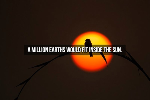 orange - A Million Earths Would Fit Inside The Sun.