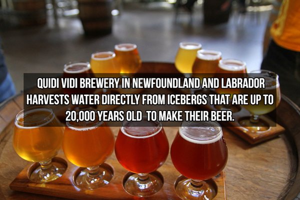 beer reception - Quidi Vidi Brewery In Newfoundland And Labrador Harvests Water Directly From Icebergs That Are Up To 20.000 Years Old To Make Their Beer.