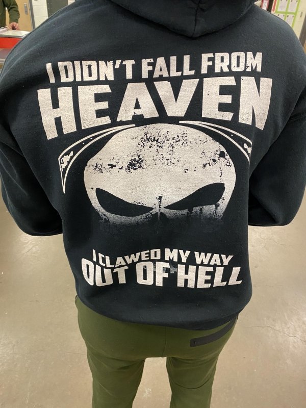 t shirt - I Didn'T Fall From Heaven