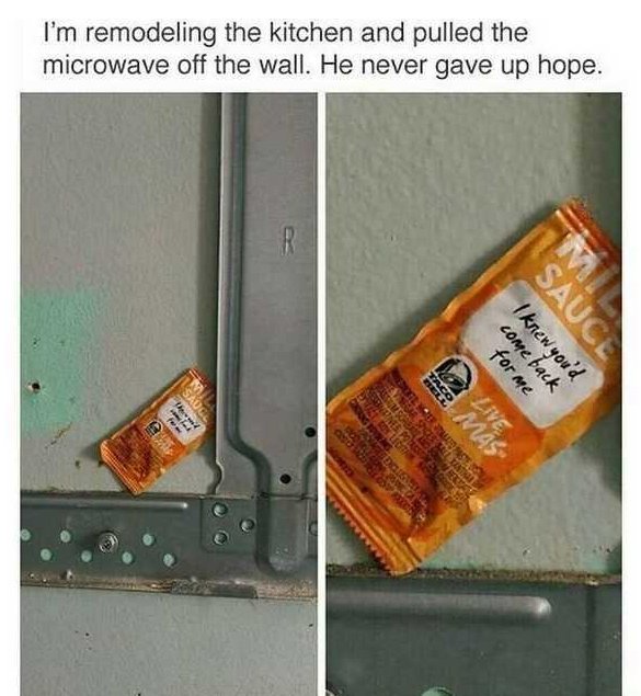 never give up hope meme - I'm remodeling the kitchen and pulled the microwave off the wall. He never gave up hope. Sauc for me come back I knew you'd Lcola Ba