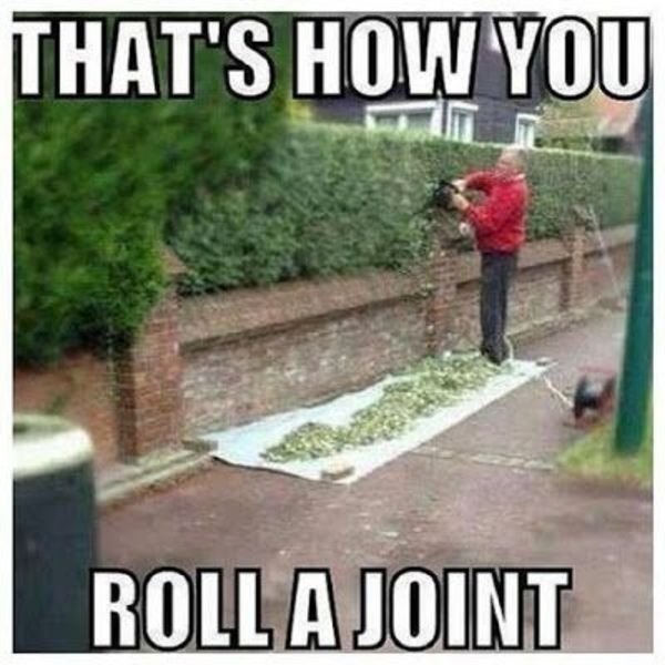 joint memes - That'S How You Roll A Joint