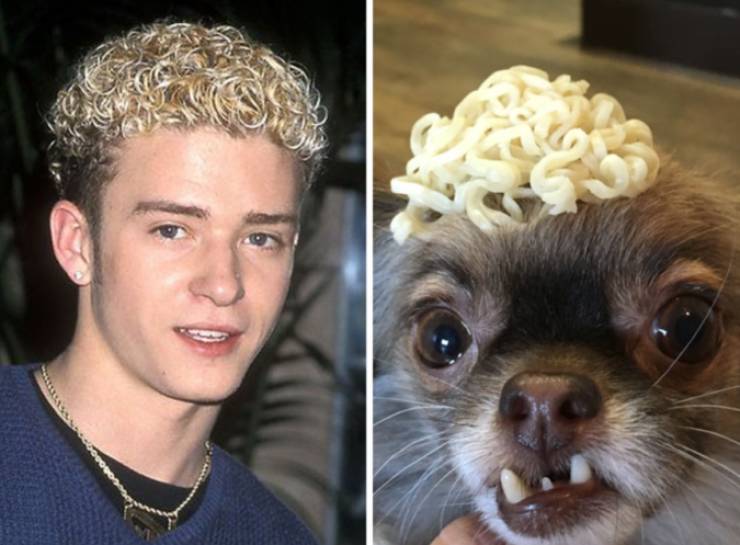 justin timberlake tips