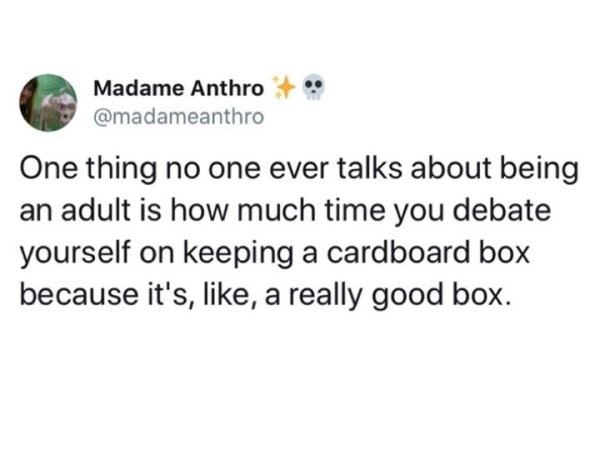girls at gas station meme - Madame Anthro One thing no one ever talks about being an adult is how much time you debate yourself on keeping a cardboard box because it's, , a really good box.