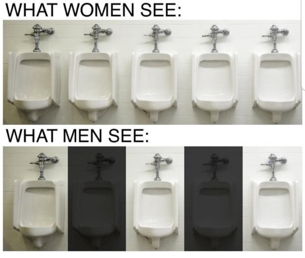 tap - What Women See What Men See