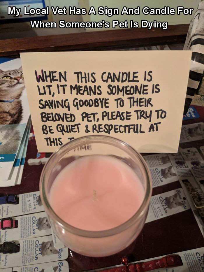 please be quiet someone is saying goodbye - My Local Vet Has A Sign And Candle For When Someone's Pet Is Dying When This Candle Is Uit, It Means Someone Is Saying Goodbye To Their Beloved Pet, Please Try To Be Quiet & Respectful At This Op Collar $1030 Co