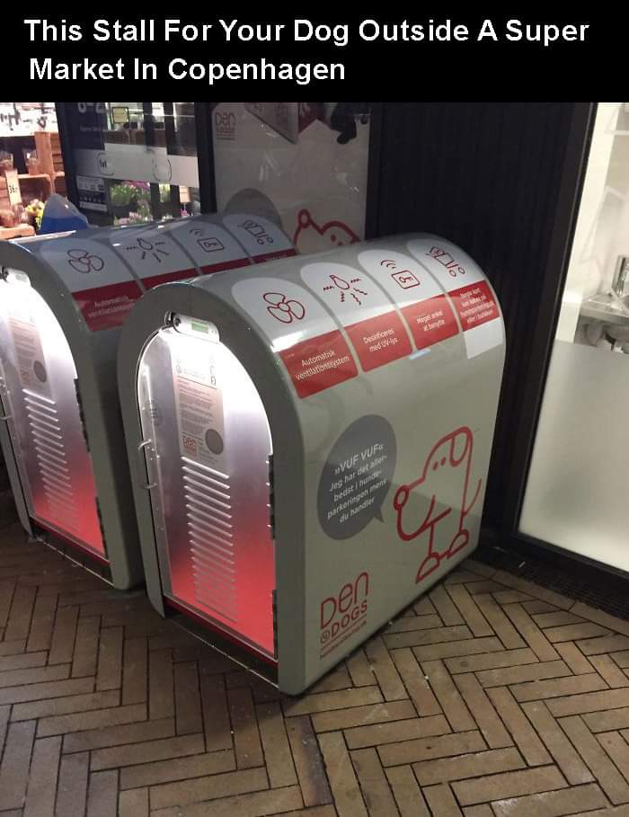 dog parking - This Stall For Your Dog Outside A Super Market In Copenhagen l Me Dess med Auto ventilationsstem Vuf Vuf det er og Durerie Den Odogs