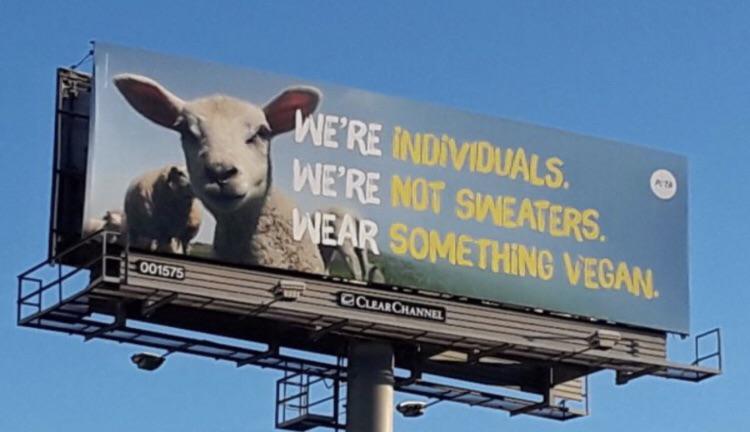 vegan billboard - We'Re Individuals. We'Re Not Sweaters. G Wear Something Vegan. 001575 Ccular Channel
