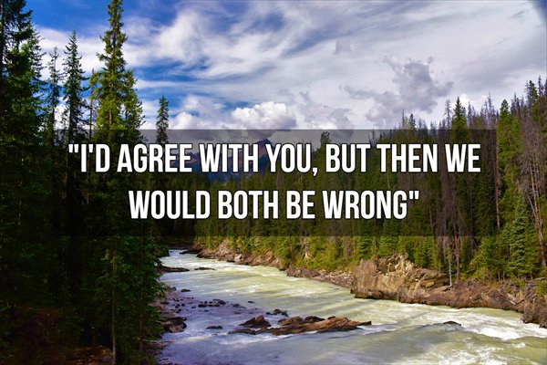 nature - "I'D Agree With You, But Then We Would Both Be Wrong"