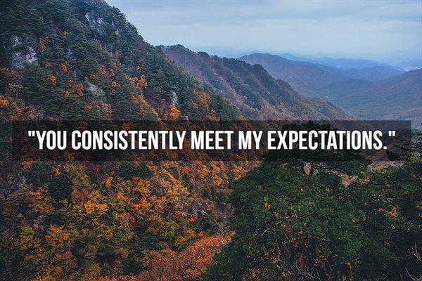 "You Consistently Meet My Expectations."