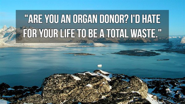 scenery - "Are You An Organ Donor? I'D Hate For Your Life To Be A Total Waste."