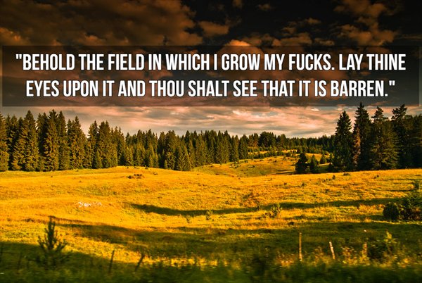 nature - "Behold The Field In Which I Grow My Fucks. Lay Thine Eyes Upon It And Thou Shalt See That It Is Barren."