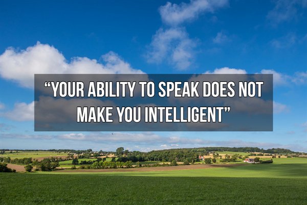 grassland - "Your Ability To Speak Does Not Make You Intelligent"
