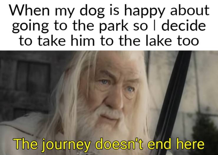 Internet meme - When my dog is happy about going to the park so I decide to take him to the lake too The journey doesn't end here