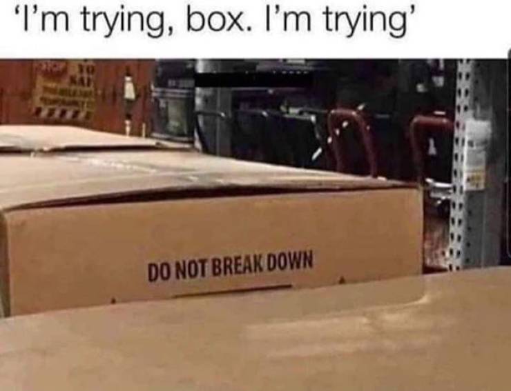 me to myself in the back at work - 'I'm trying, box. I'm trying' Do Not Break Down