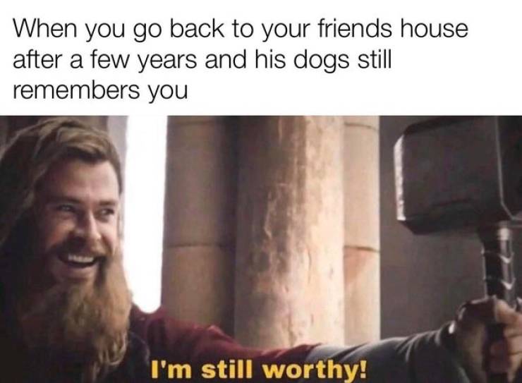 thor worthy endgame - When you go back to your friends house after a few years and his dogs still remembers you I'm still worthy!