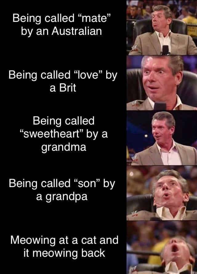 old white man calls you son meme - Being called mate" by an Australian Being called "love" by a Brit Being called sweetheart" by a grandma Being called "son" by a grandpa Meowing at a cat and it meowing back