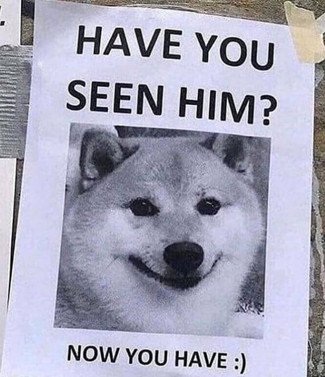 have you seen him now you have meme - Have You Seen Him? Now You Have