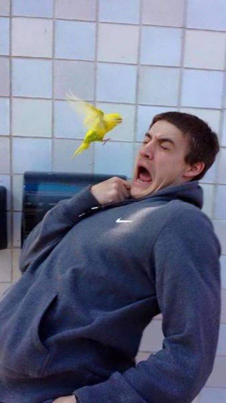 man scared of bird