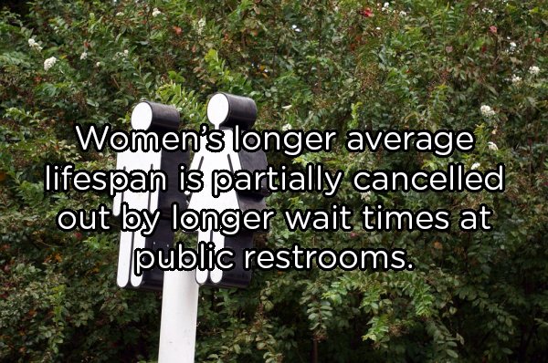 Women's longer average lifespan is partially cancelled out by longer wait times at public restrooms.