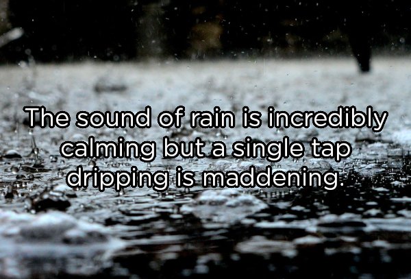 heavy rain water - The sound of rain is incredibly calming but a single tap dripping is maddening.