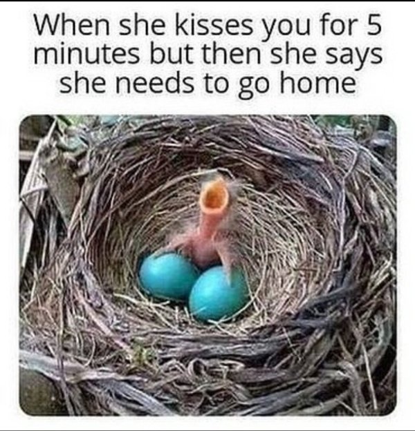 sex me of a baby bird in a nest with two blue eggs - blue balls bird meme - When she kisses you for 5 minutes but then she says she needs to go home