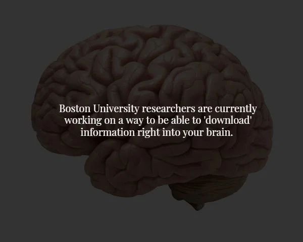 brain - Boston University researchers are currently working on a way to be able to 'download information right into your brain.