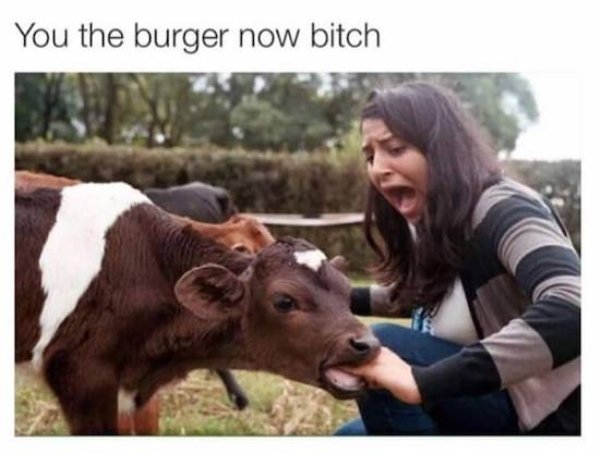 you the burger now bitch - You the burger now bitch