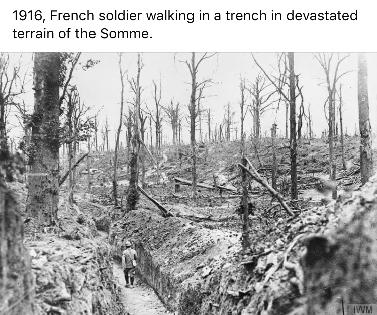 battle of the somme terrain - 1916, French soldier walking in a trench in devastated terrain of the Somme. Iwm