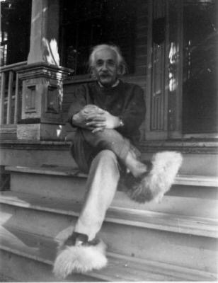 einstein fuzzy slippers