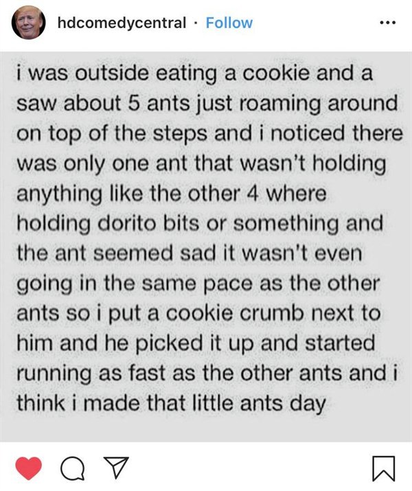 document - hdcomedycentral i was outside eating a cookie and a saw about 5 ants just roaming around on top of the steps and i noticed there was only one ant that wasn't holding anything the other 4 where holding dorito bits or something and the ant seemed