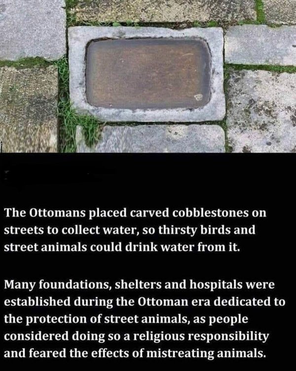 ottoman carved cobblestone - The Ottomans placed carved cobblestones on streets to collect water, so thirsty birds and street animals could drink water from it. Many foundations, shelters and hospitals were established during the Ottoman era dedicated to 