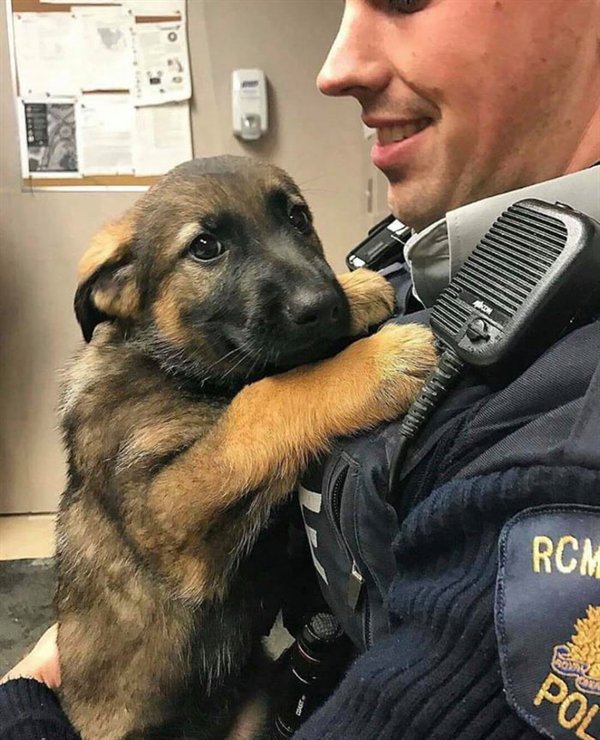 nervous cadet reporting for duty - Rcm Pol