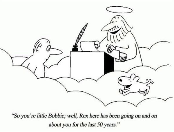 so you re little bobbie - Ellilll "So you're little Bobbie; well, Rex here has been going on and on about you for the last 50 years."