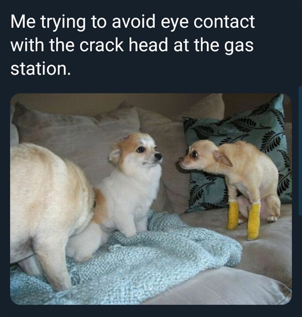 me trying to avoid eye contact - Me trying to avoid eye contact with the crack head at the gas station.