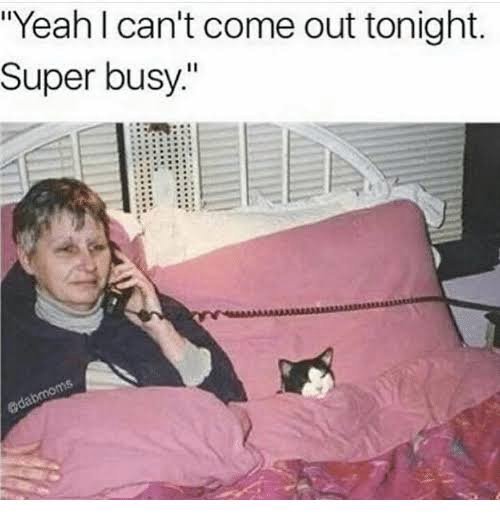 introvert memes - "Yeah I can't come out tonight. Super busy."