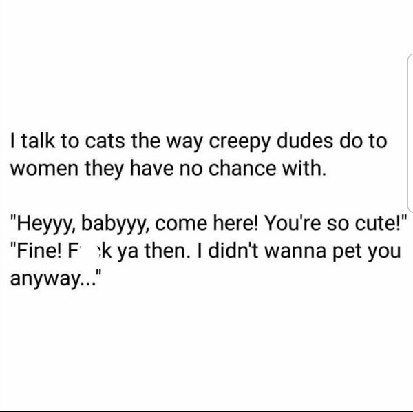 angle - I talk to cats the way creepy dudes do to women they have no chance with. "Heyyy, babyyy, come here! You're so cute!" "Fine! F kya then. I didn't wanna pet you anyway..."