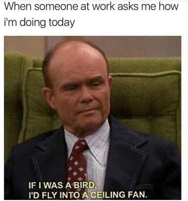 funny work memes - When someone at work asks me how i'm doing today If I Was A Bird, I'D Fly Into A Ceiling Fan.