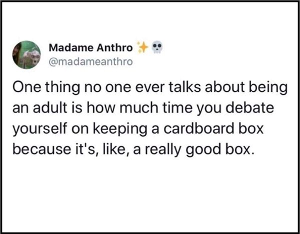 document - Madame Anthro One thing no one ever talks about being an adult is how much time you debate yourself on keeping a cardboard box because it's, , a really good box.