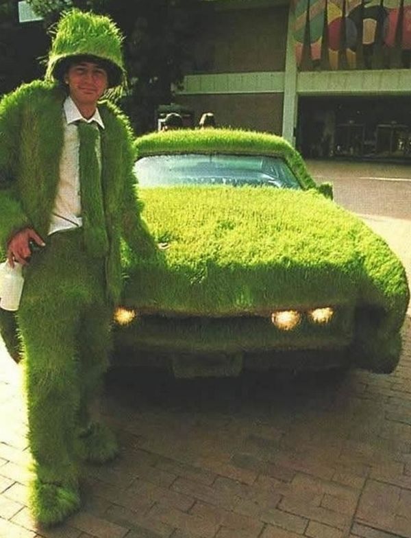 grass covered car