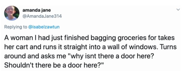 diagram - amanda jane 314 A woman I had just finished bagging groceries for takes her cart and runs it straight into a wall of windows. Turns around and asks me "why isnt there a door here? Shouldn't there be a door here?"