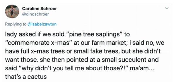 Caroline Schroer lady asked if we sold "pine tree saplings" to "commemorate xmas" at our farm market; i said no, we have full xmas trees or small fake trees, but she didn't want those. she then pointed at a small succulent and said "why didn't you tell me