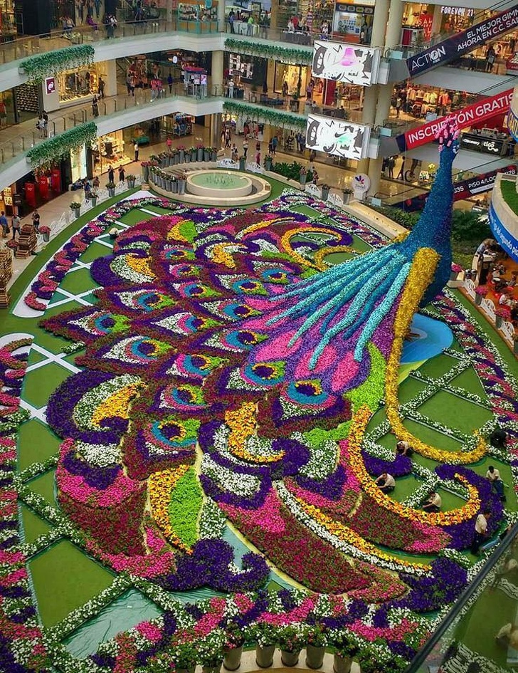 medellin colombia mall - Wscrison Gratis