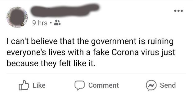 document - 9 hrs. I can't believe that the government is ruining everyone's lives with a fake Corona virus just because they felt it. D Comment @ Send