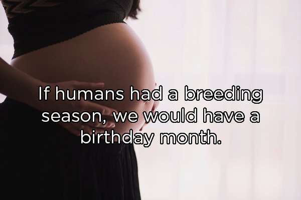 shoulder - If humans had a breeding season, we would have a birthday month.